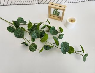 Ветки, добавки в букет