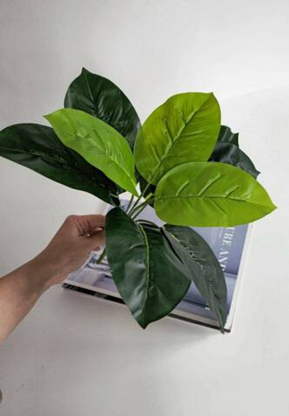 Куст банана / Арт 6225