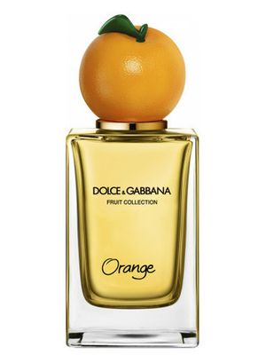 Dolce and Gabbana Orange