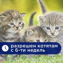 Таблетки от гельминтов для собак и кошек со вкусом мяса Квантум (VIC), 20 таб. Мебендазол/Празиквантел