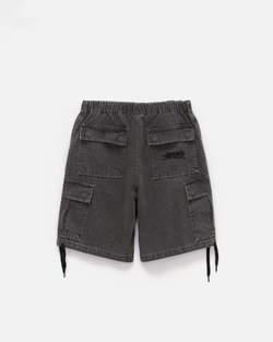 Шорты Anteater WideCargo Denim Серый