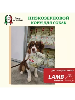 Корм для собак средних и крупных пород, ягненок 2,5 кг