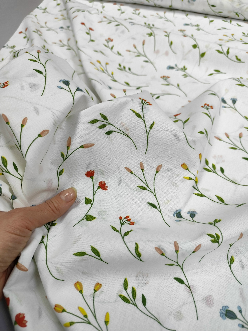 Поплин / Ботаника