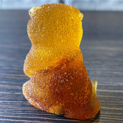 Кот забавно сидит