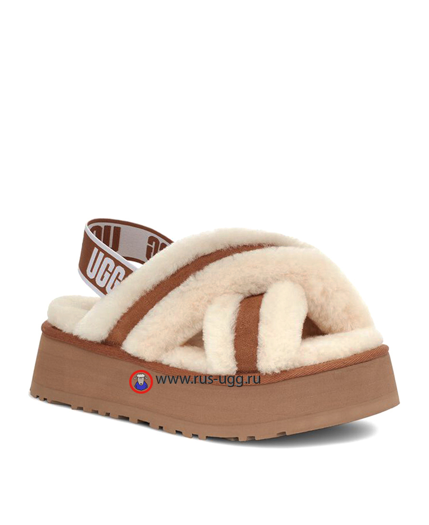 DISCO CROSS Chestnut