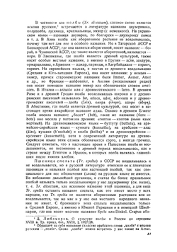 Пшеницы | Фляксбергер Константин Андреевич