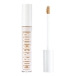 CHARME Корректор минеральный SPF30 Cover Perfection тон 101 (Слоновая кость)