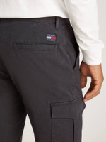 Брюки карго AUSTIN Tommy Jeans - темно-синий(DM0DM20750)