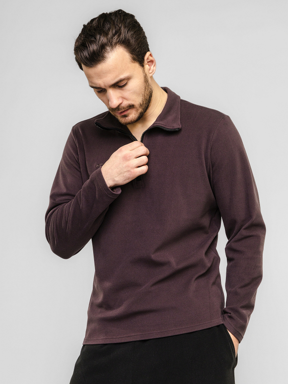 Кофта (толстовка) классическая, мужская, цвет "Лесной орех"