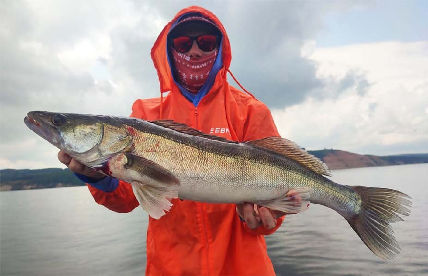 ТОП-5. СУДАК На что ловить судака!  Лучшие приманки в 2026