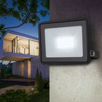 Прожектор светодиодный ЭРА, 30 (250) Вт, 6500 К, 2400 Лм, IP65, LPR-023-0-65K-030, Б0052023