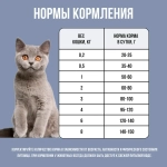 Сухой корм для котят, с курицей и черникой  BOWL WOW 400 г