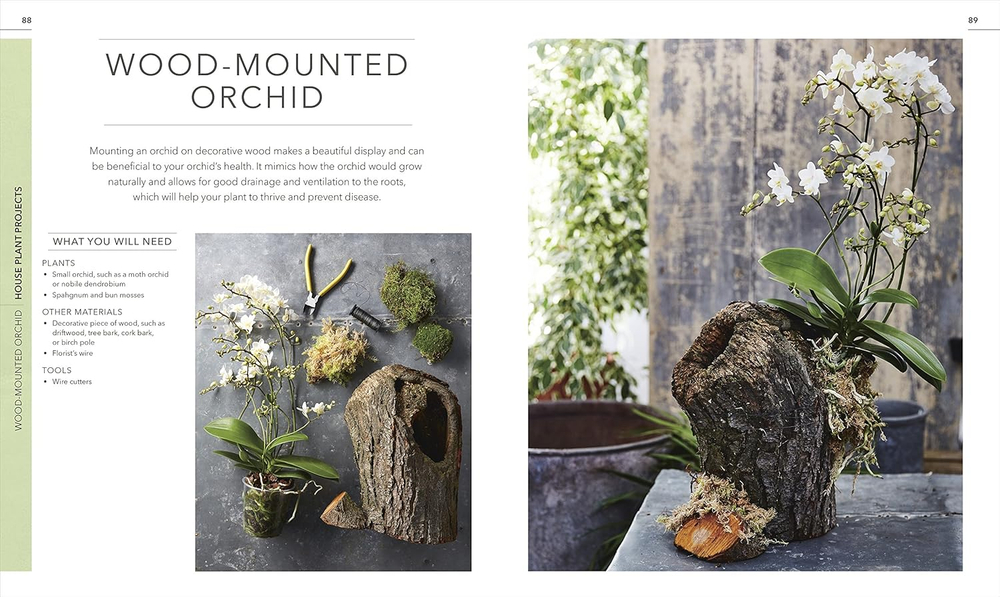 RHS Practical House Plant Book