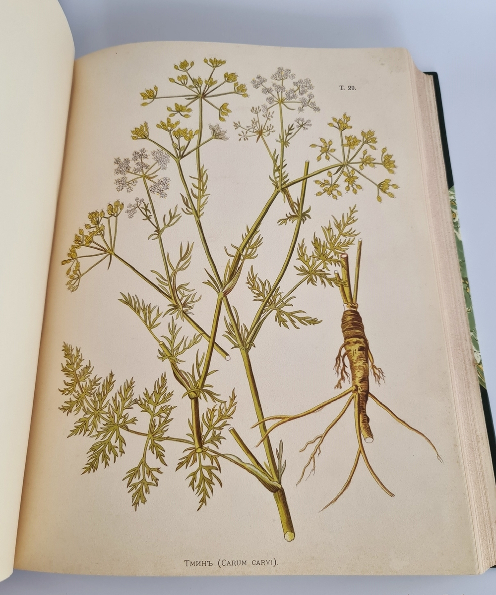 "Иллюстрированная классификация главнейших сортов луговых трав с кратким описанием каждой травы в отдельности". А.Ю.Лашкарев. 1898г. - редкая книга