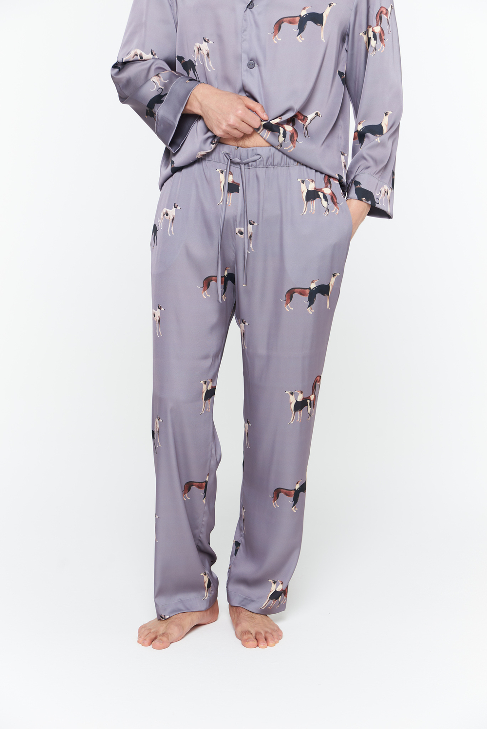 Шелковый мужской костюм с борзыми серебро 50 -52 L