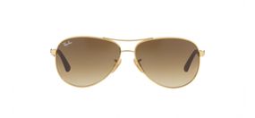 Ray-Ban RB8313 001/51