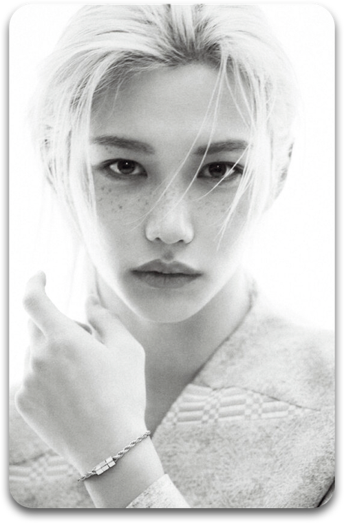 Карта / STRAY KIDS #2302