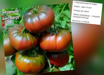 ЧЕРНЫЙ АЙСБЕРГ