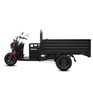 Грузовой электрический трицикл WHITE SIBERIA SIBTRIKE PRO CARGO 2000W (60V/36Ah) - версия 2025 года фото №3