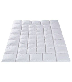 Одеяло пуховое 200х220 Dorbena Climachange Швейцария