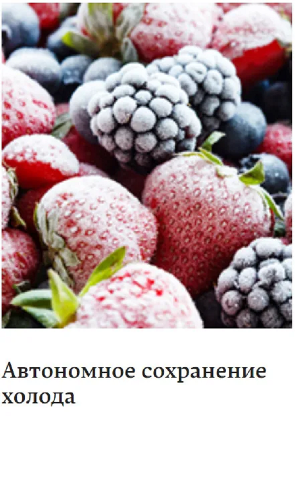 Встраиваемый холодильник Hansa UM1306.4