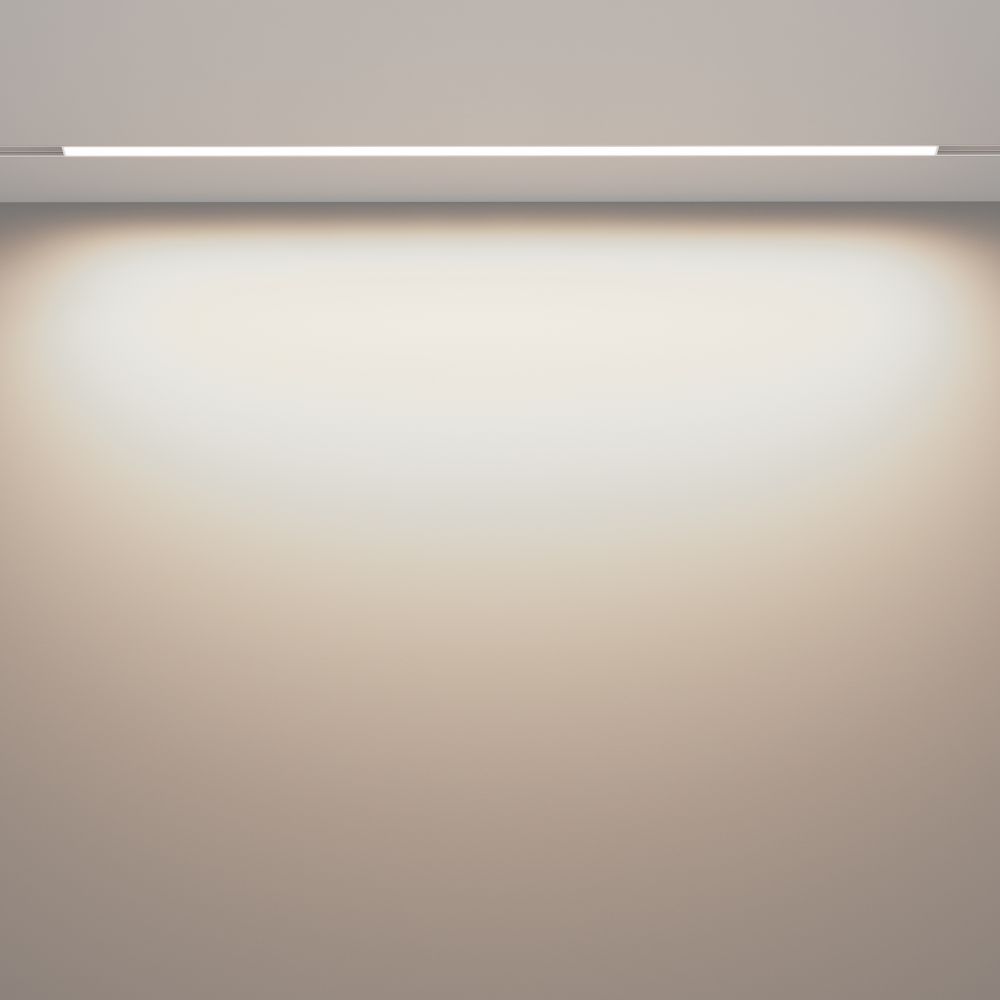 Трековый светильник Maytoni Exility Basis TR030-2-30W4K-W