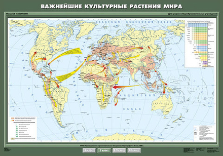 Важнейшие культурные растения мира 140х100 см