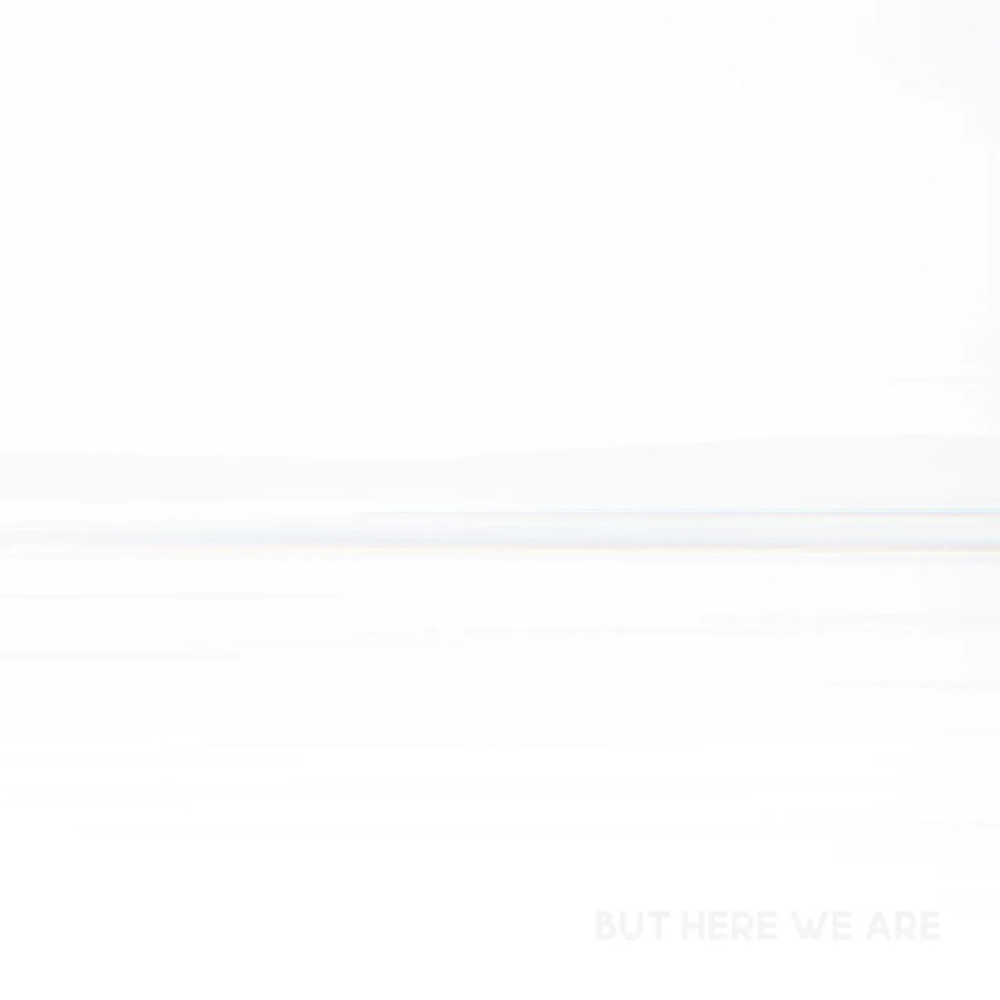 Foo Fighters / But Here We Are (LP)