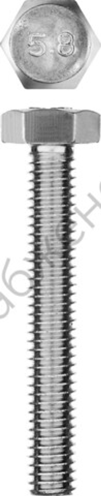 ЗУБР ГОСТ 7798-70, M6 x 40 мм, кл. пр. 5.8, болт оцинкованный, 5 шт (303086-06-040)
