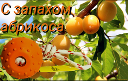 МЯЧ НА ВЕРЁВОЧКЕ НЕ ТОНУЩИЙ В ВОДЕ ForDogTrainers