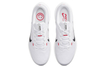 Кроссовки Nike Air Winflo 10