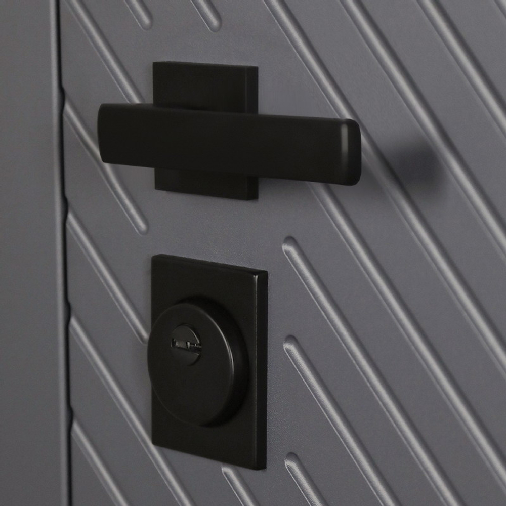 Стальная дверь "Бастион" с зеркалом. Заказная модель.