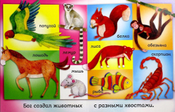 Бог создал меня