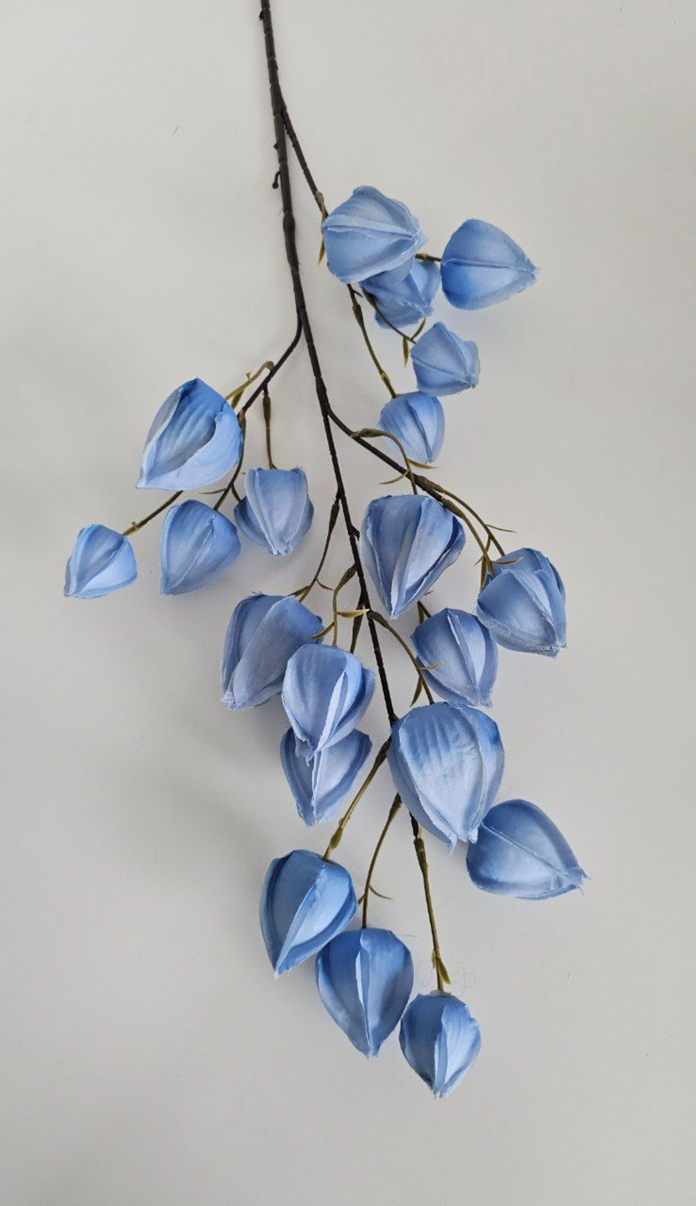 Физалис / Арт 2367