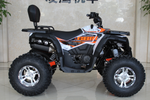 Квадроцикл GBM MAVERICK 300 NEW PREMIUM