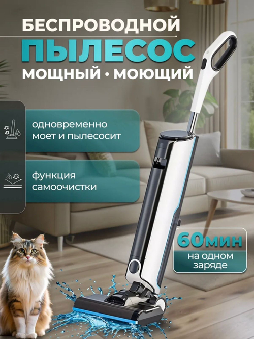 Моющий пылесос