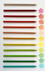 Карандаши цветные с ароматом розы Fine Line Maxi 24 цвета