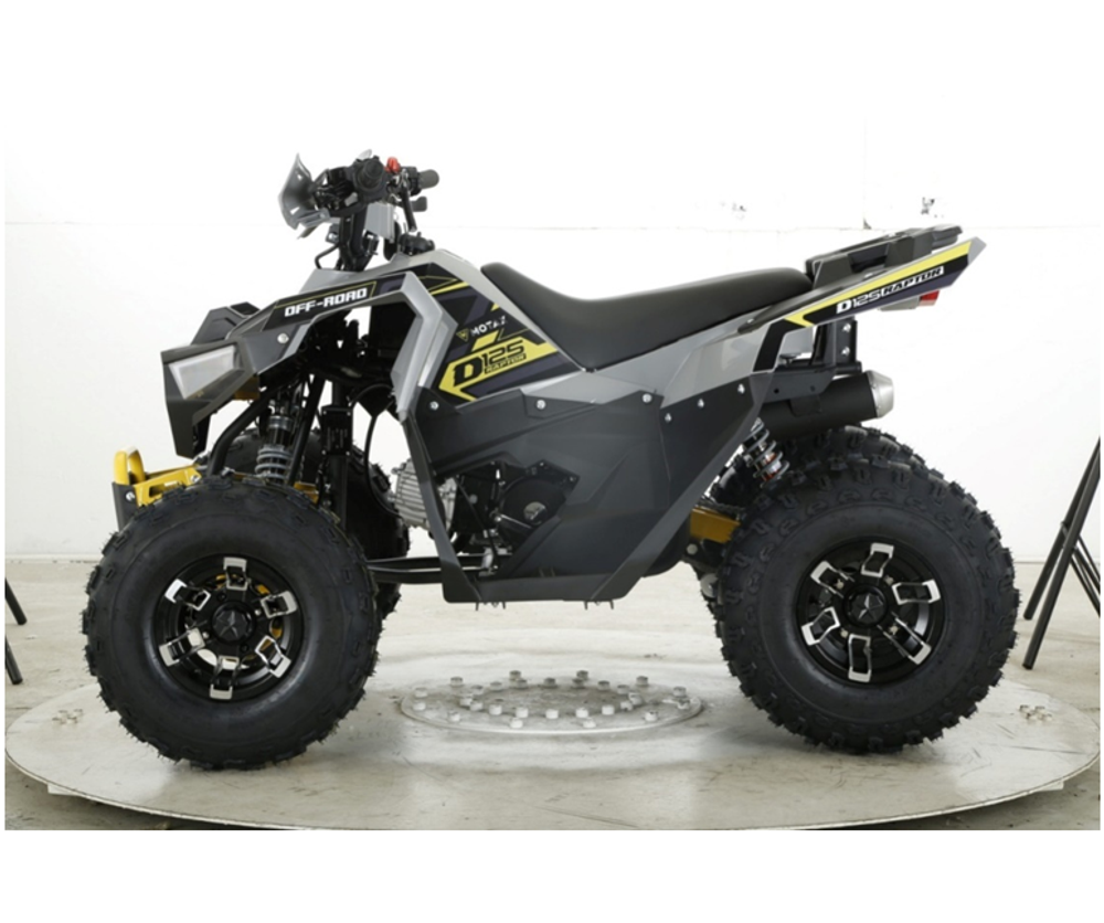 Квадроцикл бензиновый MOTAX GRIZLIK RAPTOR D125