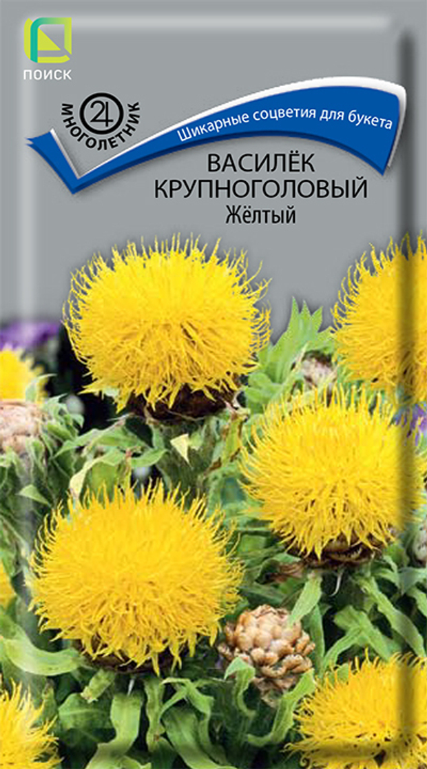 Василек крупноголовый Желтый