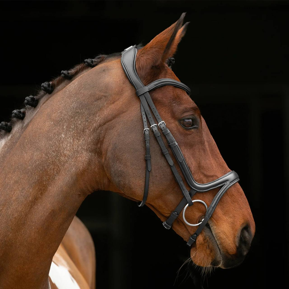 Трензельное оголовье Shires Velociti Lusso Comfort Flash Bridle - Black