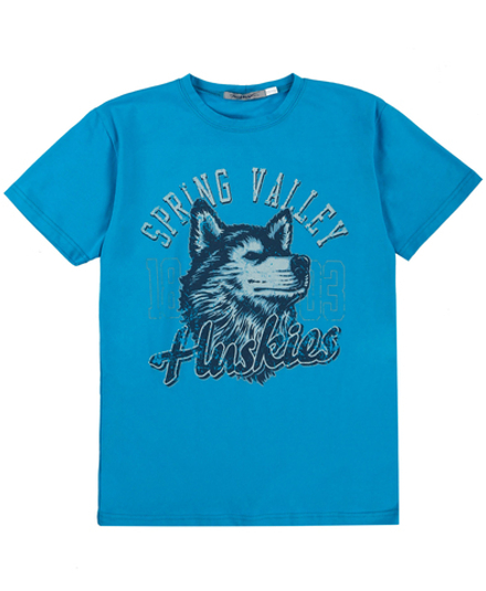 Футболка PROFILE 16SP-706