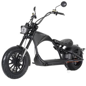 Mangosteen M1P 60V2000W30A