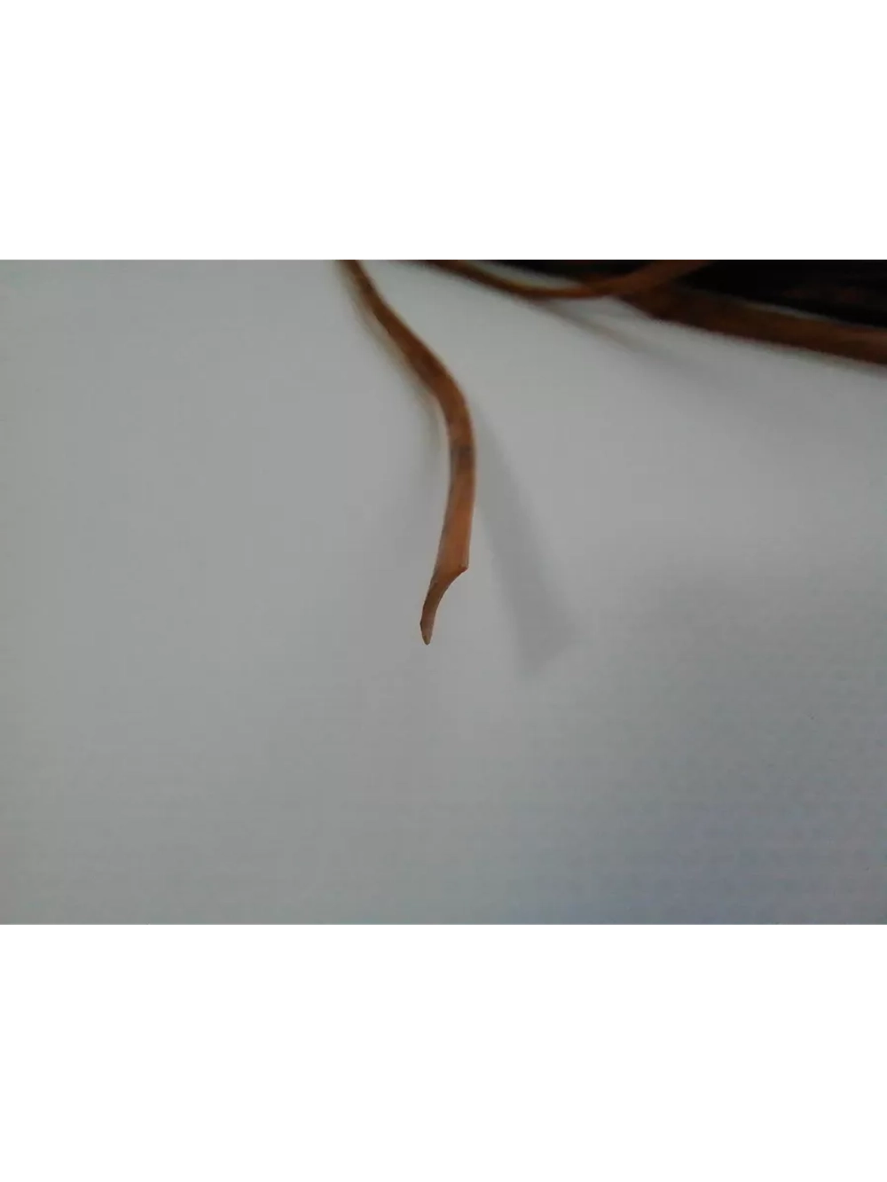 Ротанг для плетения сумок