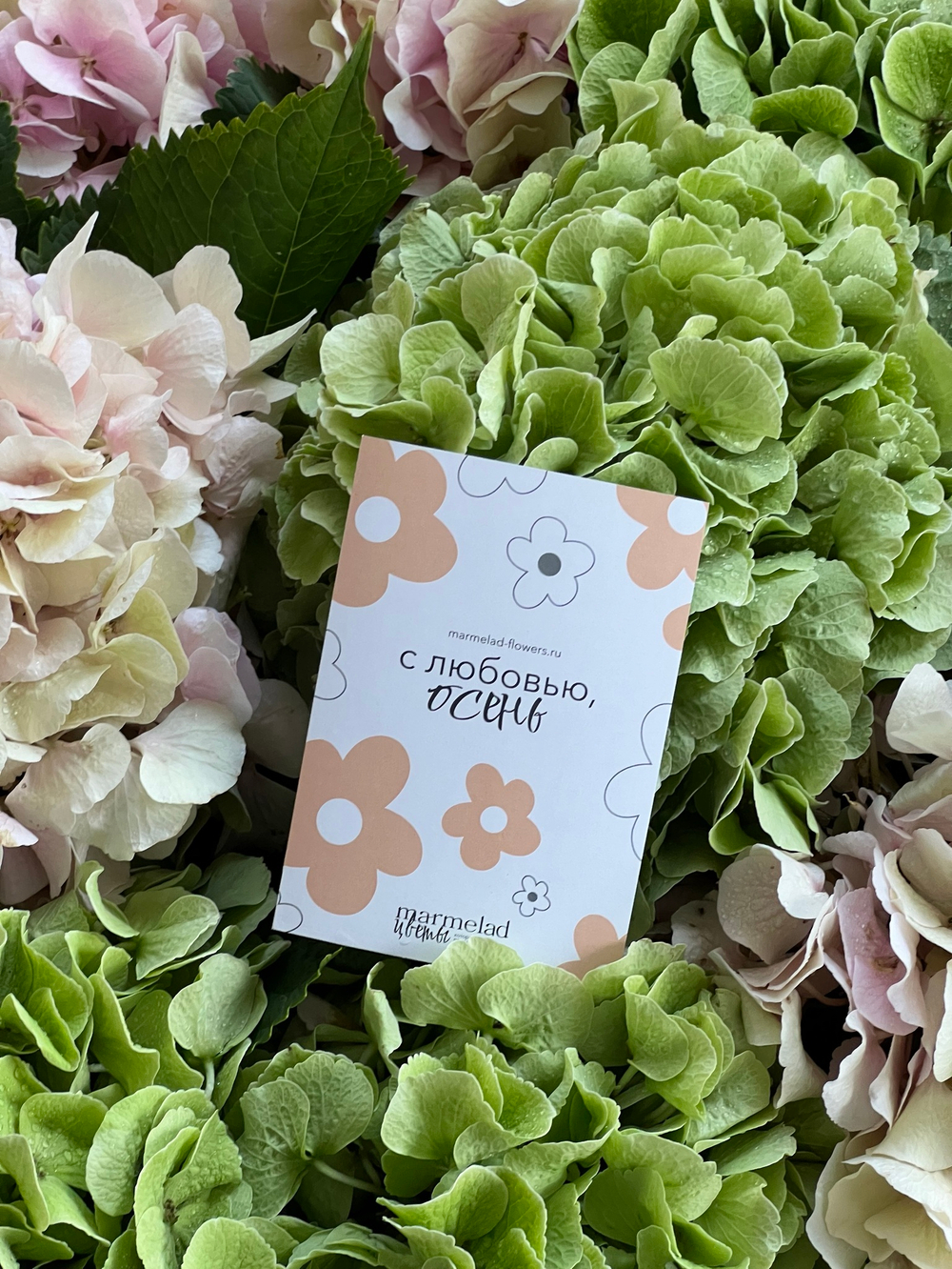 Открытка -С любовью, Осень ( фон с цветочками)