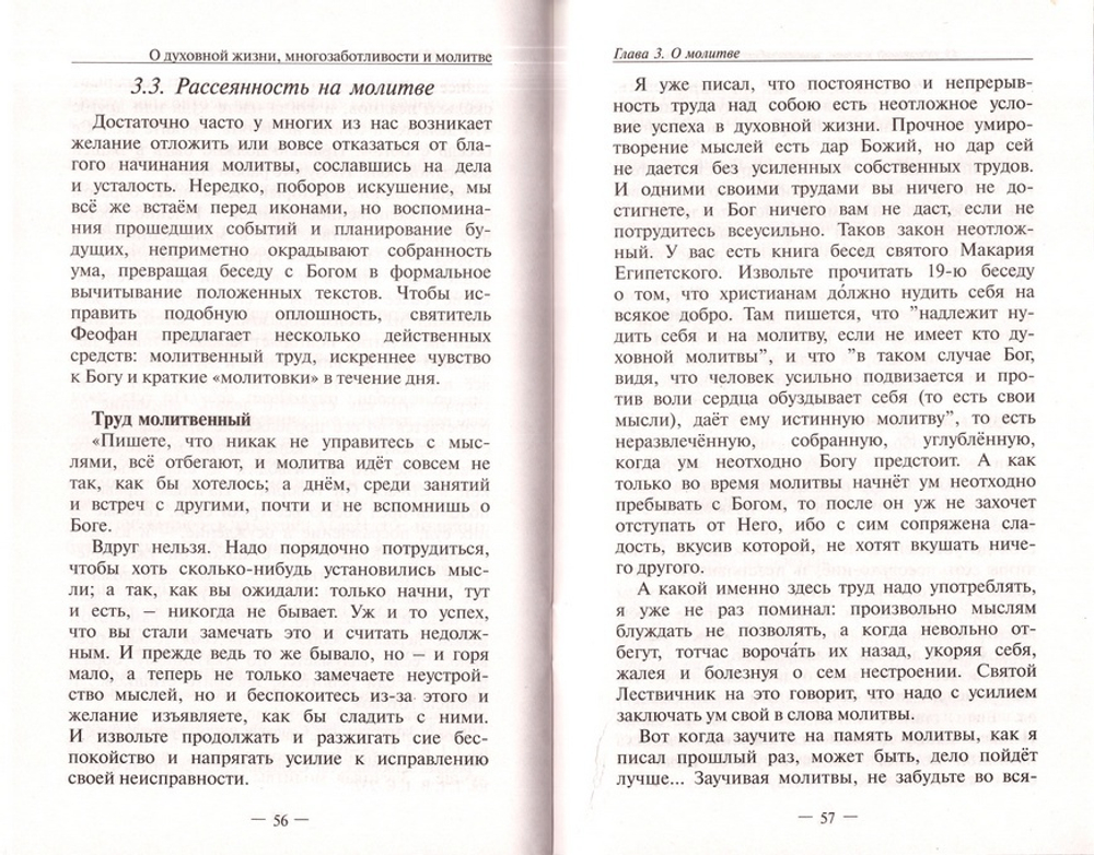 О духовной жизни, многозаботливости и молитве. По творениям святителя Феофана Затворника