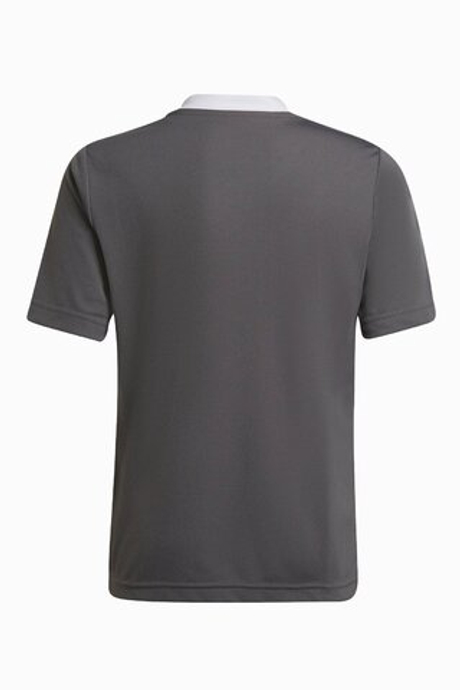 Футболка adidas Entrada 22 Junior
