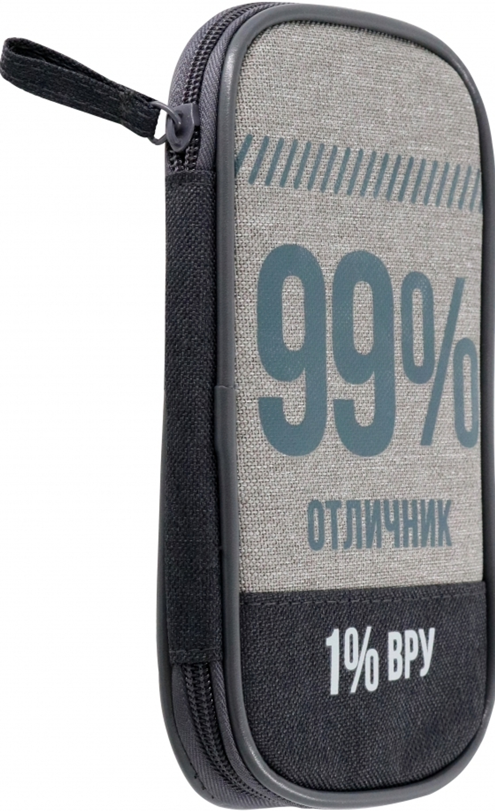 Пенал школьный Феникс+, арт.65507/ 24 99%/1% 11х20х2 см, полиэстер, молния, шелкография, ПЭТ-пакет).