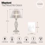 Настольный светильник Maytoni ARM247-00-G