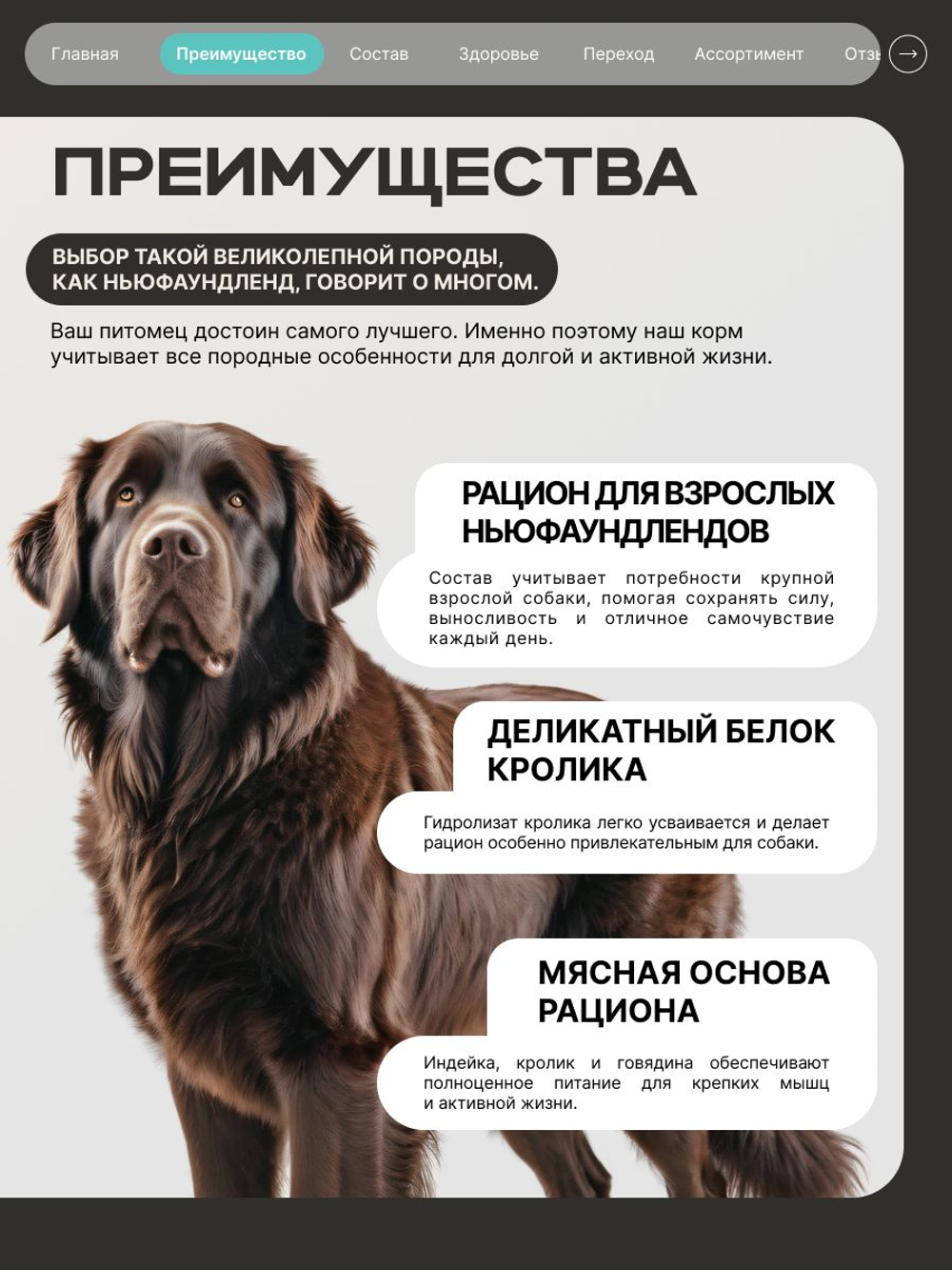 Корм для взрослых собак породы Ньюфаундленд, с кроликом, 3 кг, QUATTRO