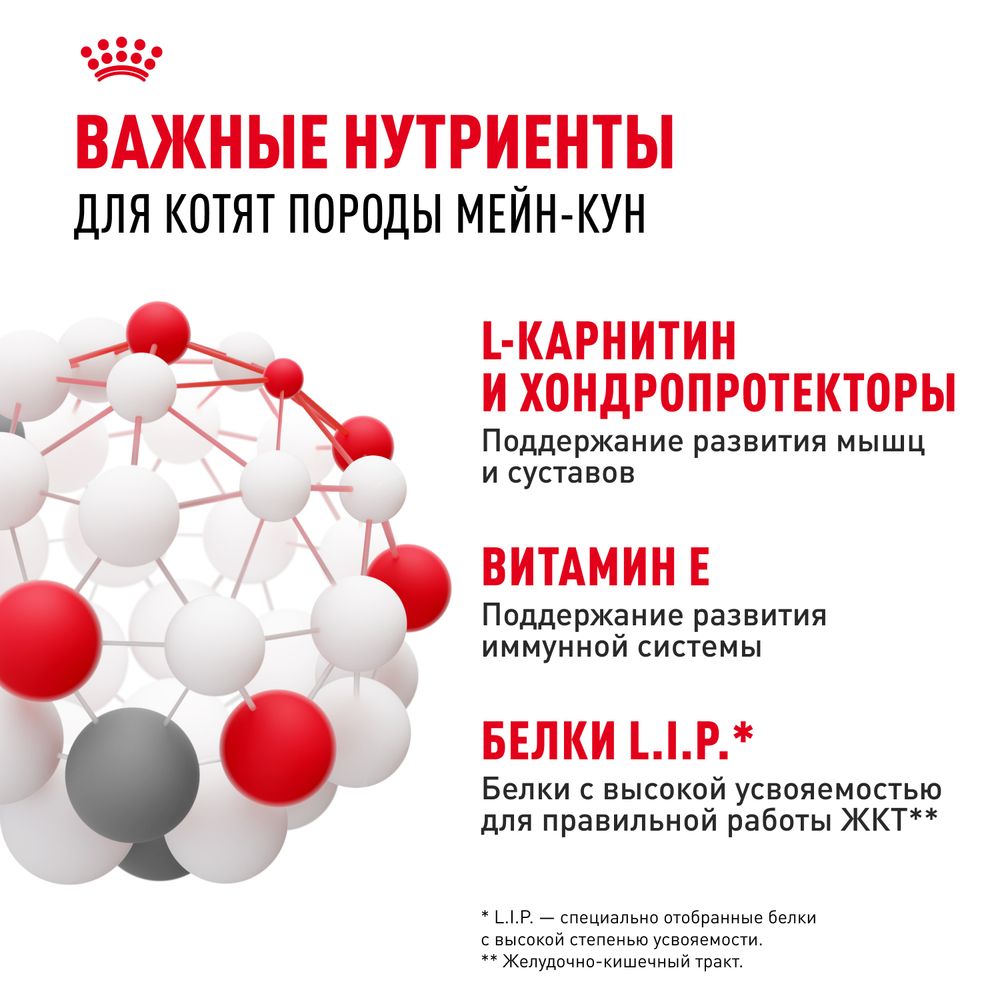 Пауч Royal Canin Maine Coon Kitten для котят породы Мэйн Кун в возрасте до 15 месяцев, мелкие кусочки в соусе Пауч Royal Canin Maine Coon Kitten для котят породы Мэйн Кун в возрасте до 15 месяцев, мелкие кусочки в соусе